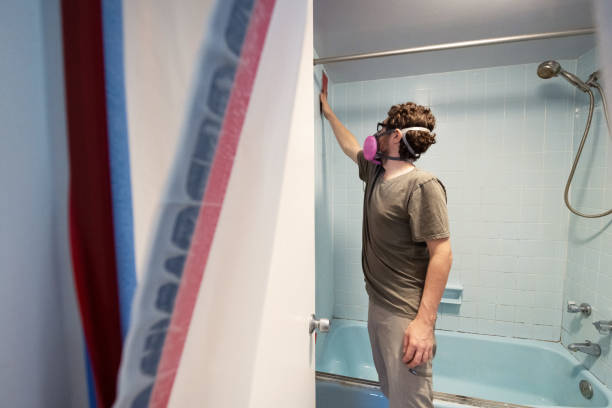 Best Environmental Consulting for Mold Prevention  in Lake Magdalene, FL
