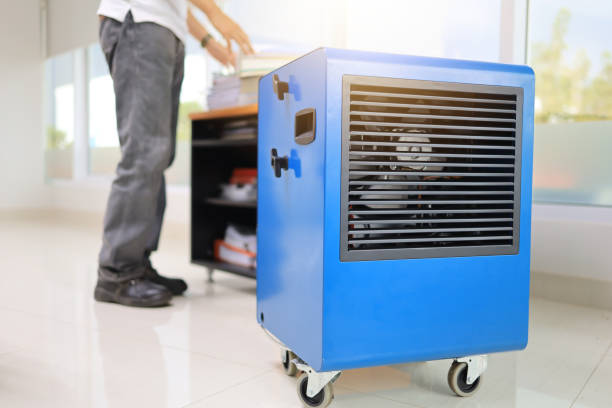 Best Mold Removal for HVAC Installations  in Lake Magdalene, FL